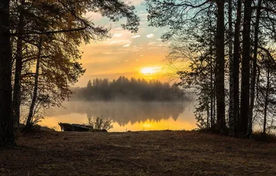 Проникновение.. / Когда приходит зима Рассвет приходящий в лес Приходит  зима Лучи солнца проникающие в лес Сквозь стволы сосен И первые заморозки  Приходит зима, наконец то Изморозь, и снежный налет на опавшей