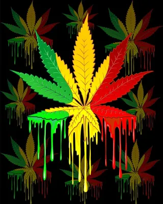 Cannabis or marijuana green vector leaf. Jamaican rasta hat 5724855 Vector  Art at Vecteezy