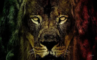 Authentic Digital Art - Rasta Lion | SuperRare