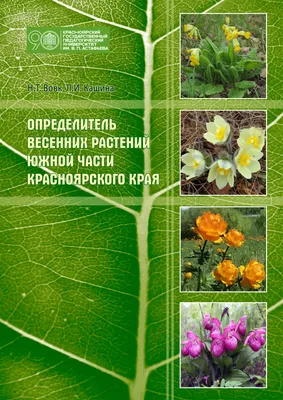 В КГПУ опубликовано юбилейное издание «Определитель весенних растений южной  части Красноярского края» :: КГПУ им. В.П. Астафьева