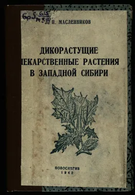 Застройщик, спиливший в «Юном медике» сосны, назвал их больными и аварийными