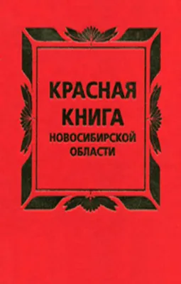 Ядовитые осенние цветы появились на дачах жителей Новосибирска | НДН.Инфо