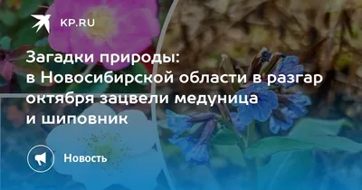 В Здвинске заканчивают работы по благоустройству центральной площади