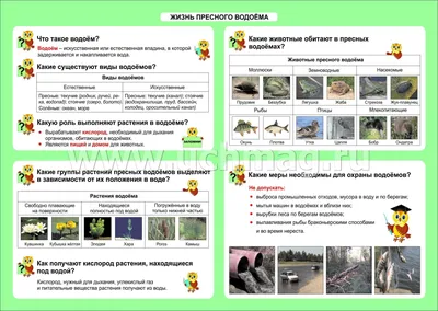 Подскажите растения по атласу-определителю 4 класс - Littleone 2006-2009