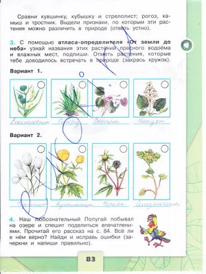 расмотри ресунки растений пресного водоема - Школьные Знания.com