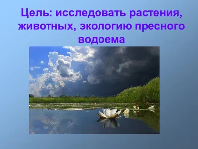 Составьте 2-3 цепи питания, характерные для сообщества пресного водоёма.