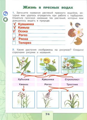 ГДЗ Станица 74 Часть 1 Рабочая тетрадь по окружающему миру за 4 класс  Плешаков Школа России