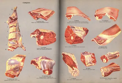 Гид по разделке мяса: от 1965 года до наших дней - Гильдия поваров и  шеф-поваров Беларуси
