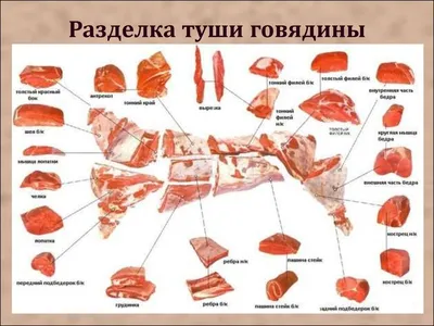 Какую часть говядины выбрать ✔️ Хранение говядины