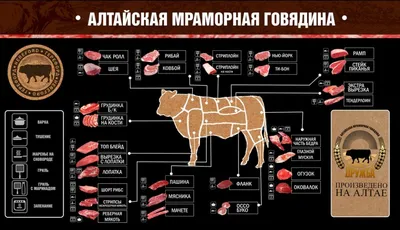 Информационный стенд \"Беконная разделка свинины\", 1000х710мм - купить с  доставкой по выгодным ценам в интернет-магазине OZON (749440739)