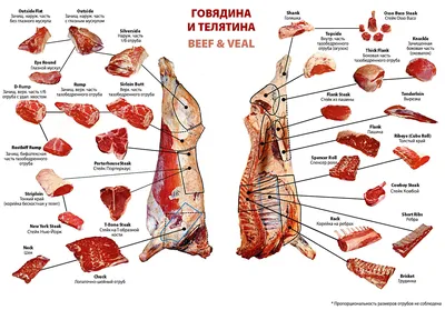 Разделка красной туши (заметки о советской еде)