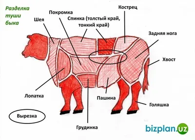 Постер PosterNak Еда купить по выгодной цене в интернет-магазине OZON  (1212218689)