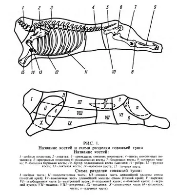 Говядина - помощь в переводе названий (британская, французская и  американская схемы отрубов)» — Яндекс Кью