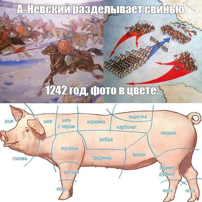 Убой и разделка туши свиньи