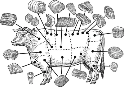 Как выбирать говядину на рынке
