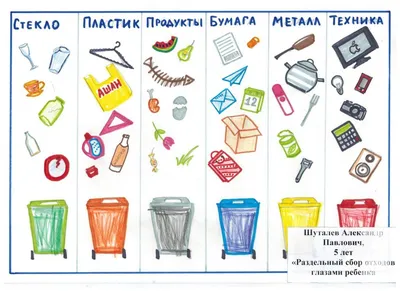 Раздельный сбор мусора в России: зачем нужен и как организовать |  Спецпроекты от Роскачества