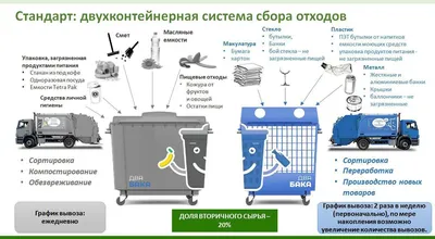 Раздельный сбор мусора: как правильно сортировать отходы? - Официальный  сайт муниципального образования город Ломоносов