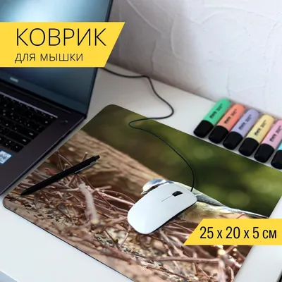 Размытый фоновый компьютер, клавиатура, синие и красные огни Концепция  ESports арены для игр Стоковое Изображение - изображение насчитывающей  браслетов, красно: 162758533