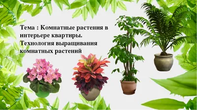 https://www.fontanka.ru/2021/08/21/70090466/