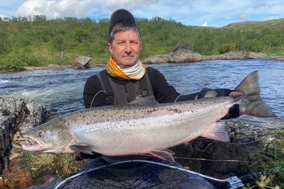 Красная рыба в Мурманской области — какая красная рыба водится на Кольском  полуострове