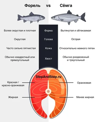 10 видов рыбы, которую лучше не есть | MARIECLAIRE