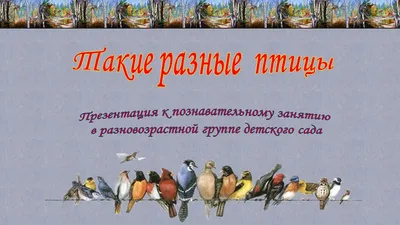 Птицы: экзотические, хищные, разные... - Zoo