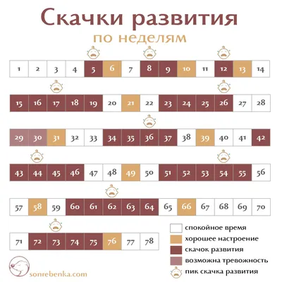 3-я неделя беременности