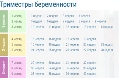 Беременность по неделям | Клиника ведения беременности в Пятигорске