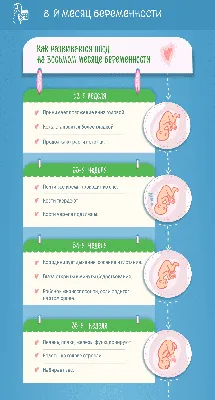 Развитие плода по неделям беременности: календарь