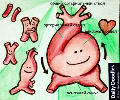 Развитие ребенка по месяцам до года: календарь развития малыша