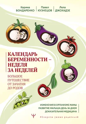 Развитие плода - неделя 30 иллюстрация штока. иллюстрации насчитывающей  развитие - 58830331