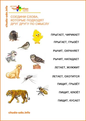 Конспект занятия по развитию речи в старшей группе, дети 5-6 лет