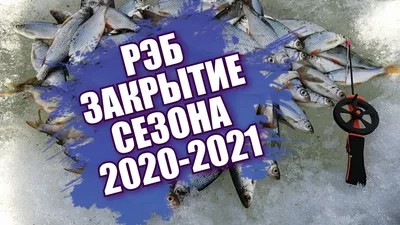 Рыбанутый Омск 2024 | ВКонтакте