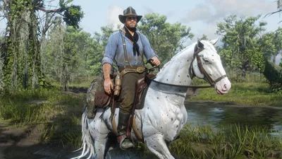 Red Dead Redemption 2 'unplayable' following new update