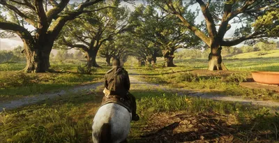 Hidden files hint at a possible PC version of Red Dead Redemption 2 |  TechCrunch