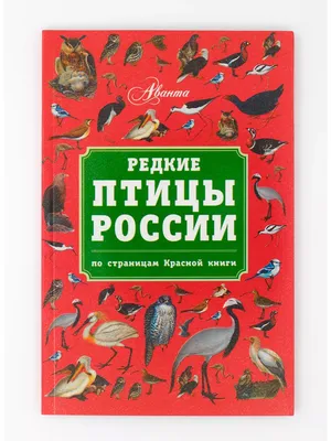 Птицы Дагестана, самые редкие и яркие из представителей