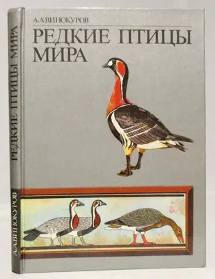 Марка СССР 1975 г. Турухтан. Певиче птицы. Птицы МИРА. Редкие птицы —  покупайте на Auction.ru по выгодной цене. Лот из - Другие страны -, Воронеж  . Продавец Дом монет. Лот 181253979110342