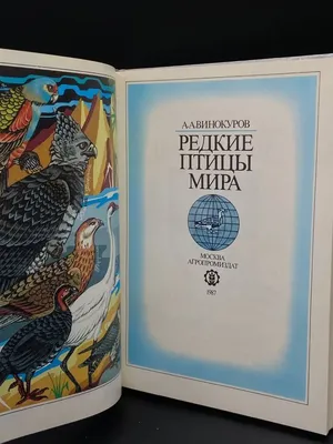 Антикварная книга \"Редкие птицы мира\" Винокуров А А 1987, - купить в  книжном интернет-магазине «Москва» по цене от 640 руб