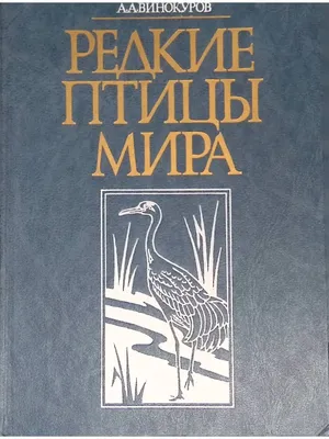 В Австралии редкие птицы из-за одиночества «забывают свои песни». Спасать  ситуацию принялись ученые