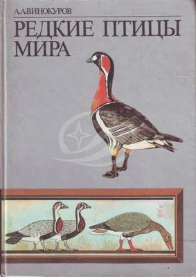 Приложения: Последние новости России и мира – Коммерсантъ Наука (117994) -  Птицы Москвы