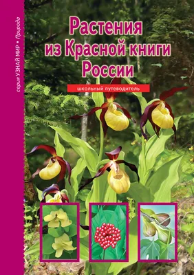 Редкие виды растений Куршской косы | Куршская Коса - национальный парк