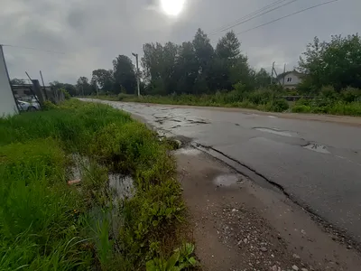 Установлена личность мужчины, погибшего под колёсами электрички в Редкино |  ПРОИСШЕСТВИЯ: События | ПРОИСШЕСТВИЯ | АиФ Тверь