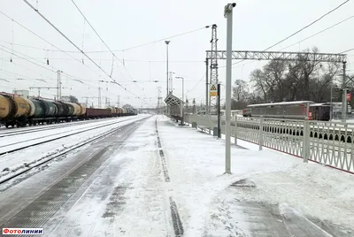 В Тверской области Ространснадзор арестовал четыре «заказных» автобуса |  Твериград