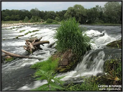 Осень река Сейм — Фото №302884