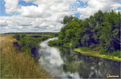 Сейм, Курская область.