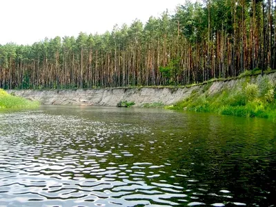 Курская область. река Сейм. Дьяконово | Фотосайт СуперСнимки.Ру