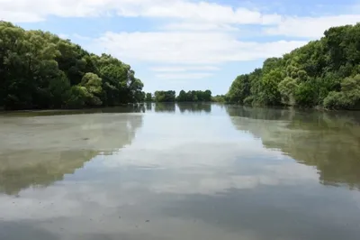 В Курске в реке Сейм утонул 50-летний мужчина