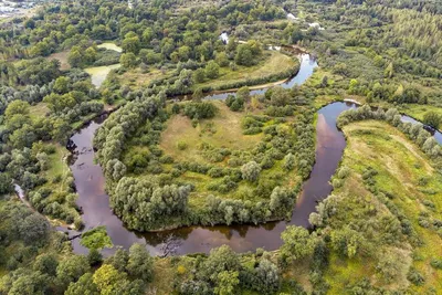 река сейм в Асмолово | Рыльский район | Фотопланета
