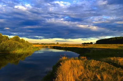 В Курске эксперты назвали реку Сейм «очень загрязнённой»