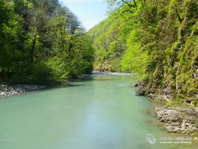 Река Сочи. Водная артерия города